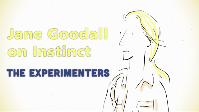 Jane_Goodall_Thumbnail_640x360_2.jpeg