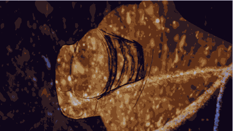 Sally Ride on Dumb Questions Blank on Blank